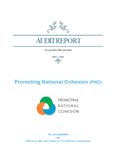 Audit Report Year 2024