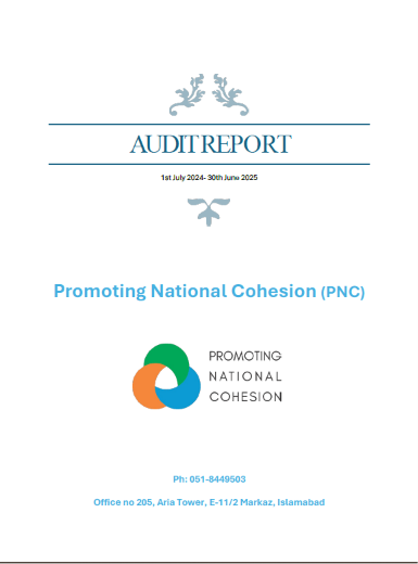 Audit Report - Year 2025
